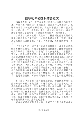 挂职初体验挂职体会范文