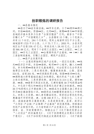 挂职锻炼的调研报告