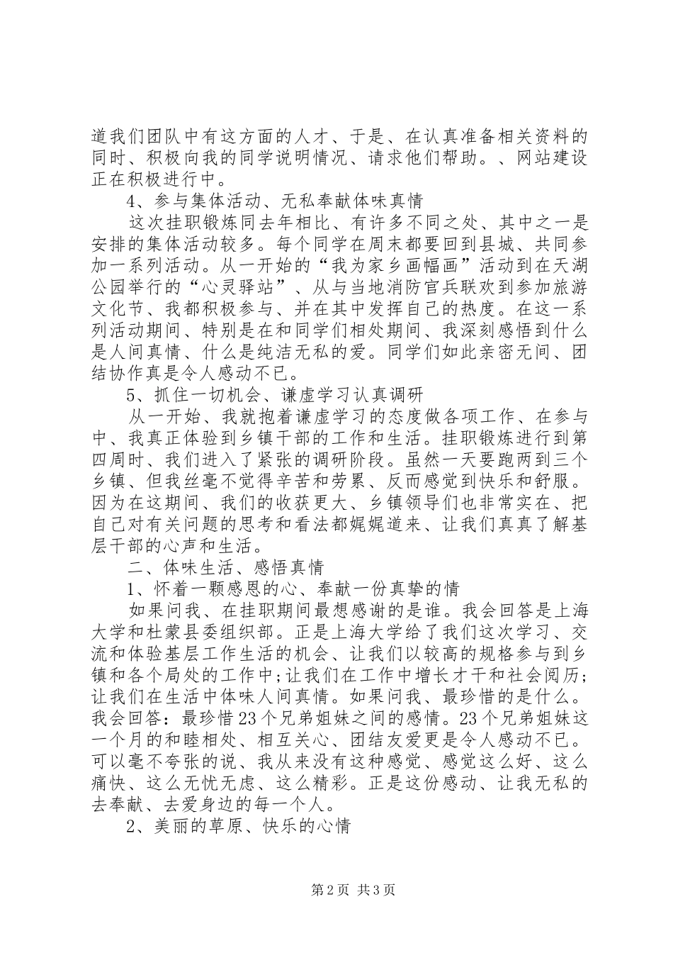 挂职锻炼的年度工作总结_第2页