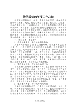 挂职锻炼的年度工作总结