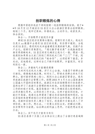 挂职锻炼的心得