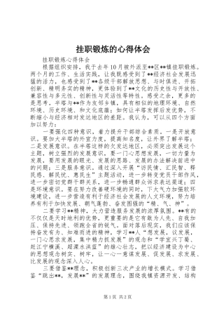 挂职锻炼的心得体会