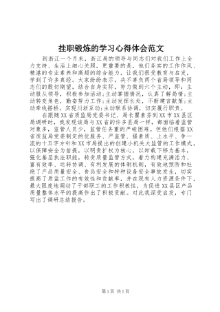 挂职锻炼的学习心得体会范文