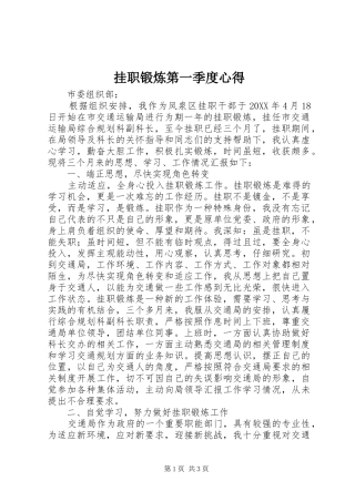 挂职锻炼第一季度心得