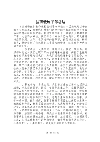 挂职锻炼干部总结
