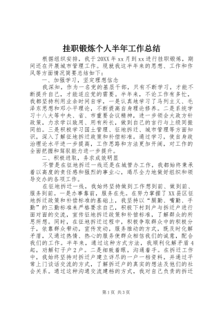 挂职锻炼个人半年工作总结
