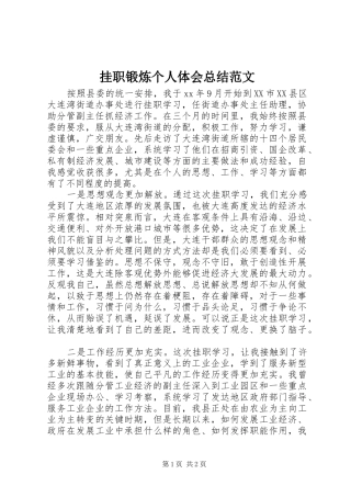 挂职锻炼个人体会总结范文