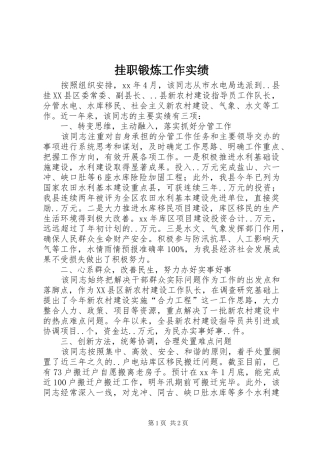 挂职锻炼工作实绩