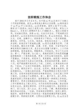 挂职锻炼工作体会