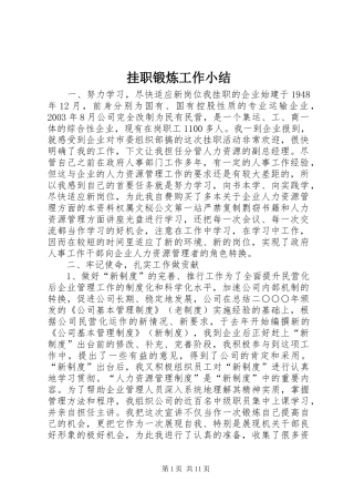 挂职锻炼工作小结