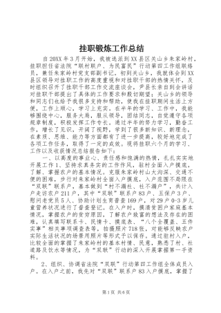 挂职锻炼工作总结