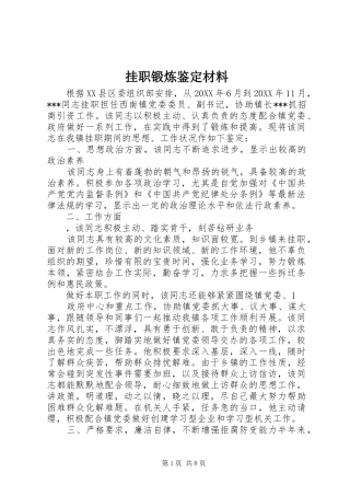 挂职锻炼鉴定材料