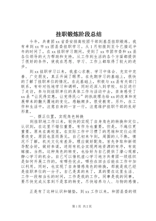 挂职锻炼阶段总结