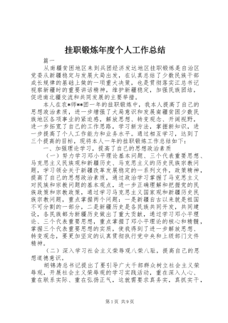 挂职锻炼年度个人工作总结