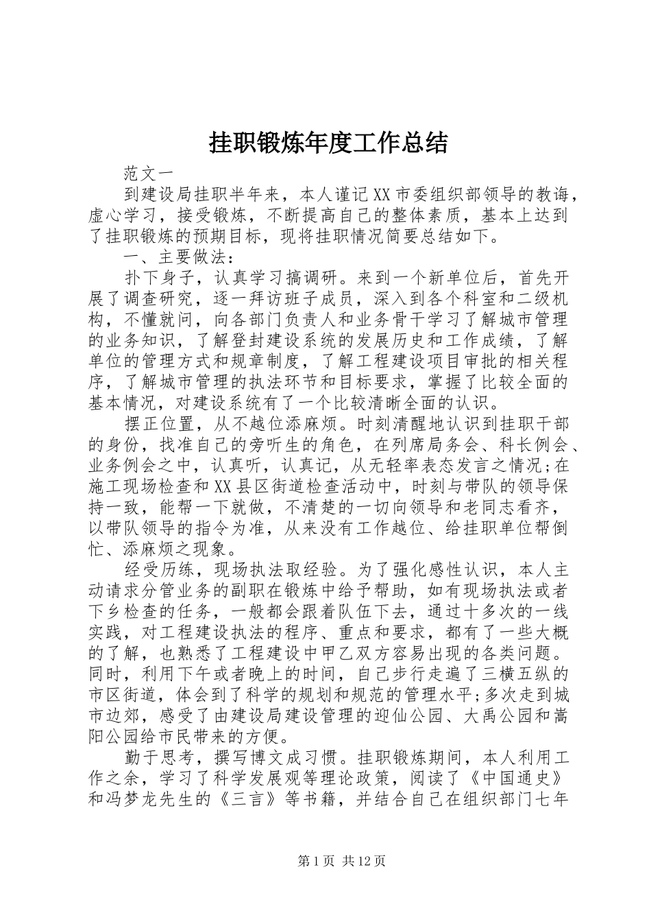 挂职锻炼年度工作总结_第1页