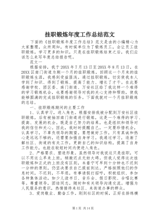 挂职锻炼年度工作总结范文