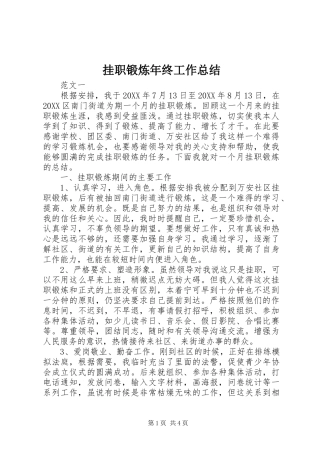 挂职锻炼年终工作总结