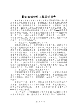 挂职锻炼年终工作总结报告