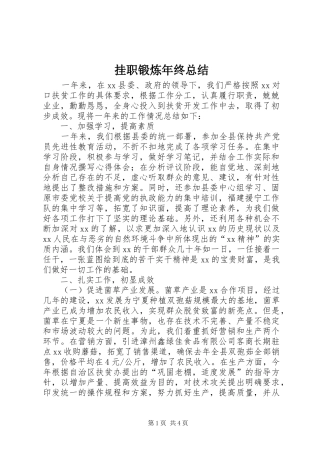 挂职锻炼年终总结