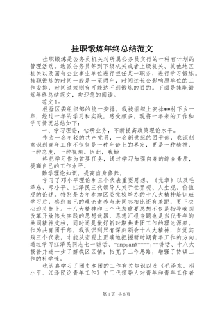 挂职锻炼年终总结范文