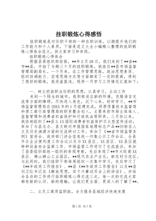 挂职锻炼心得感悟