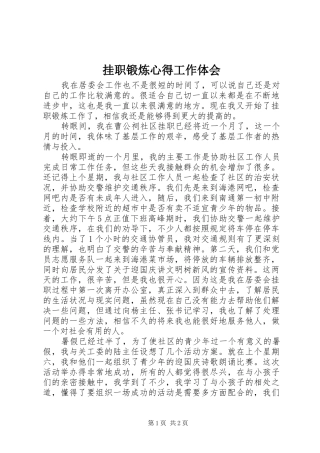 挂职锻炼心得工作体会