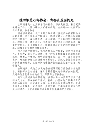 挂职锻炼心得体会青春在基层闪光