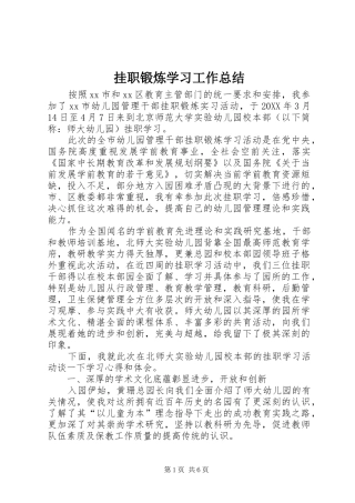 挂职锻炼学习工作总结