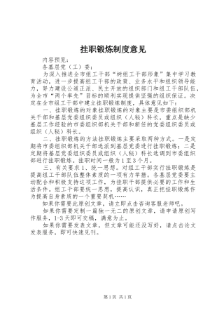 挂职锻炼制度意见