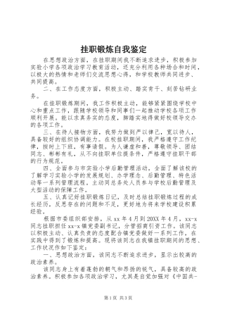 挂职锻炼自我鉴定