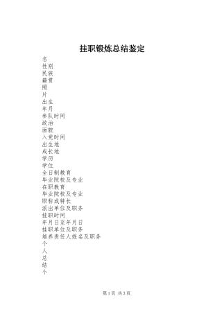 挂职锻炼总结鉴定