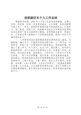 挂职副区长个人工作总结
