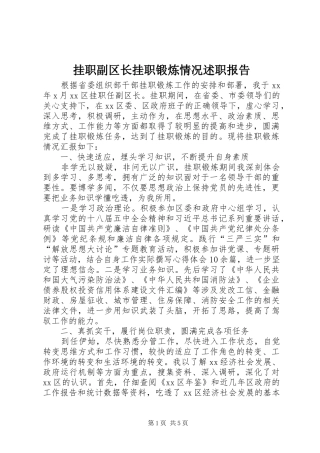 挂职副区长挂职锻炼情况述职报告