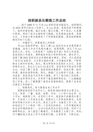 挂职副县长锻炼工作总结