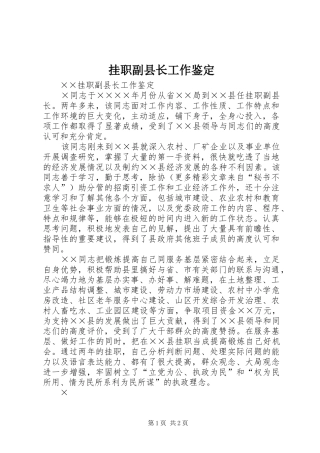 挂职副县长工作鉴定