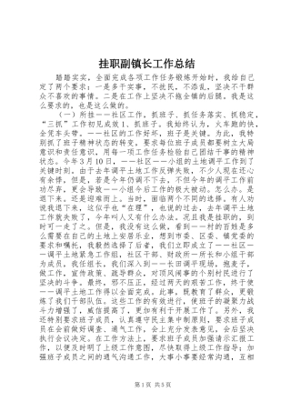 挂职副镇长工作总结