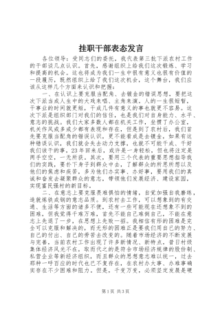 挂职干部表态讲话