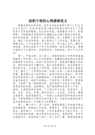 挂职干部的心得感想范文