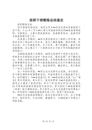 挂职干部锻炼总结鉴定