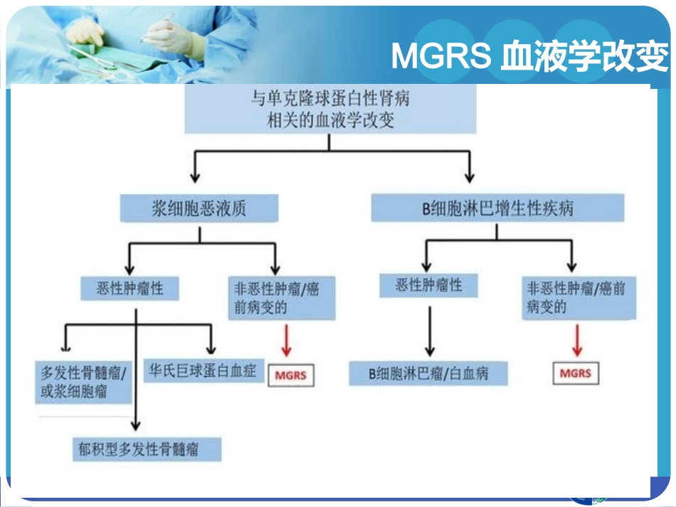 MGRS病理回顾副本_第2页