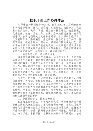 挂职干部工作心得体会