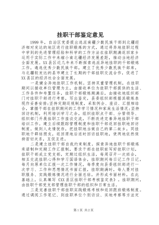 挂职干部鉴定意见