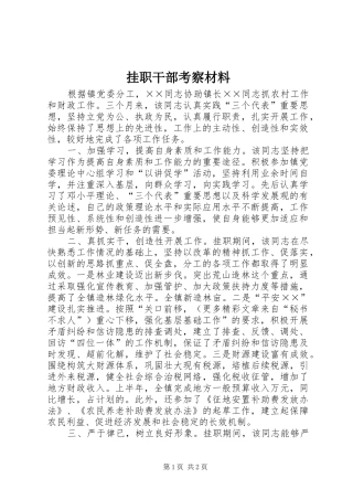 挂职干部考察材料