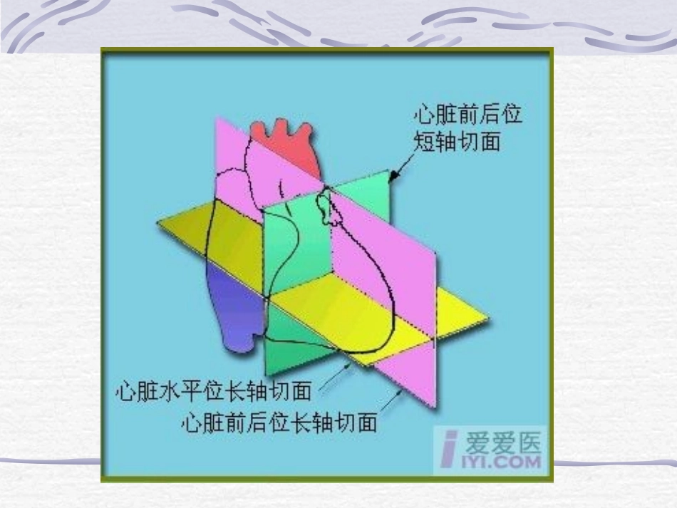M型超声心动图测量及正常值收集资料_第2页