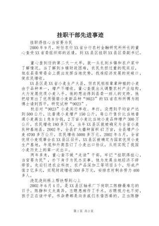 挂职干部先进事迹