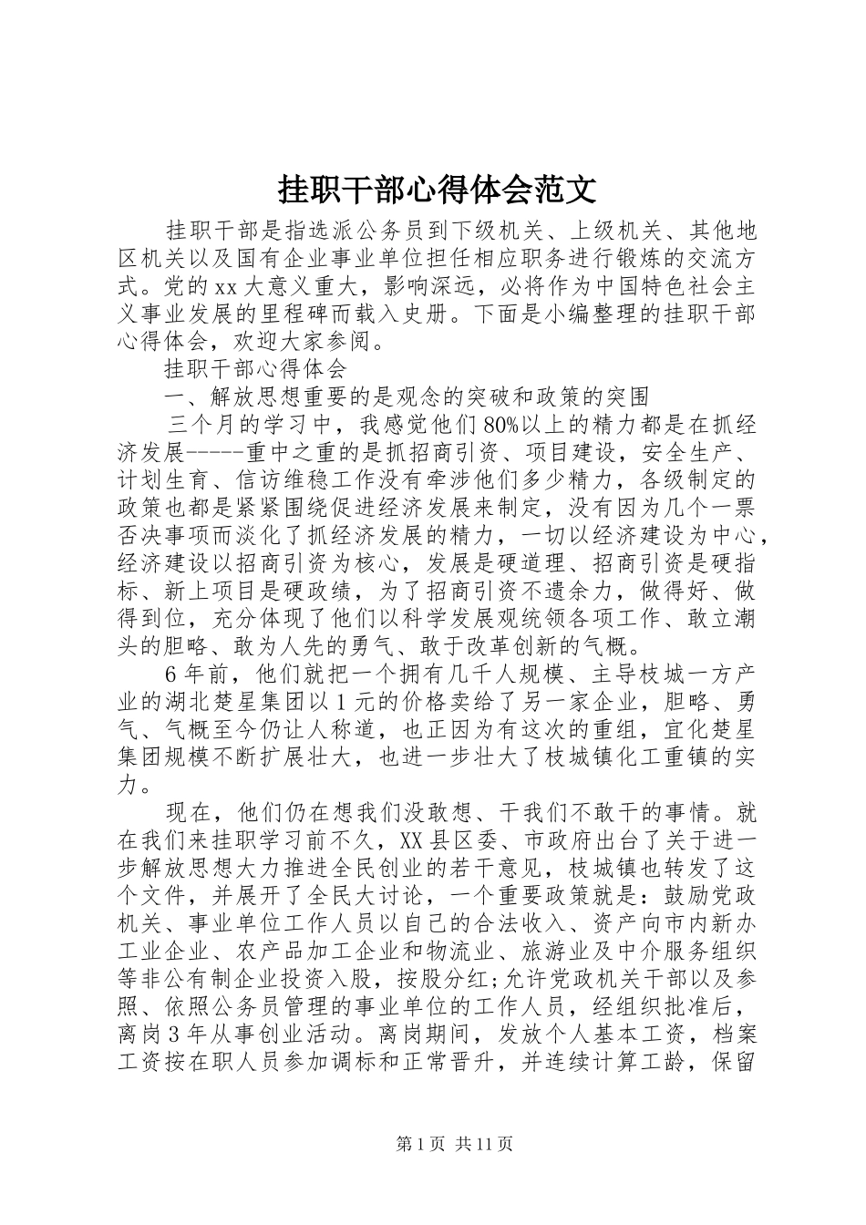 挂职干部心得体会范文_第1页