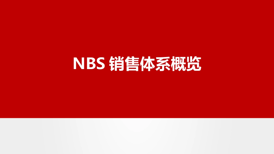 NBS销售体系概览_第1页