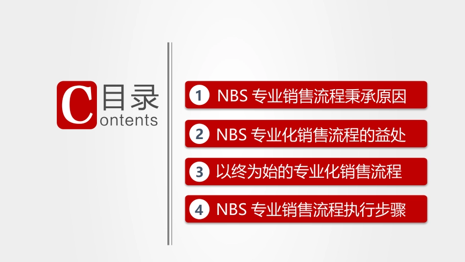 NBS销售体系概览_第2页