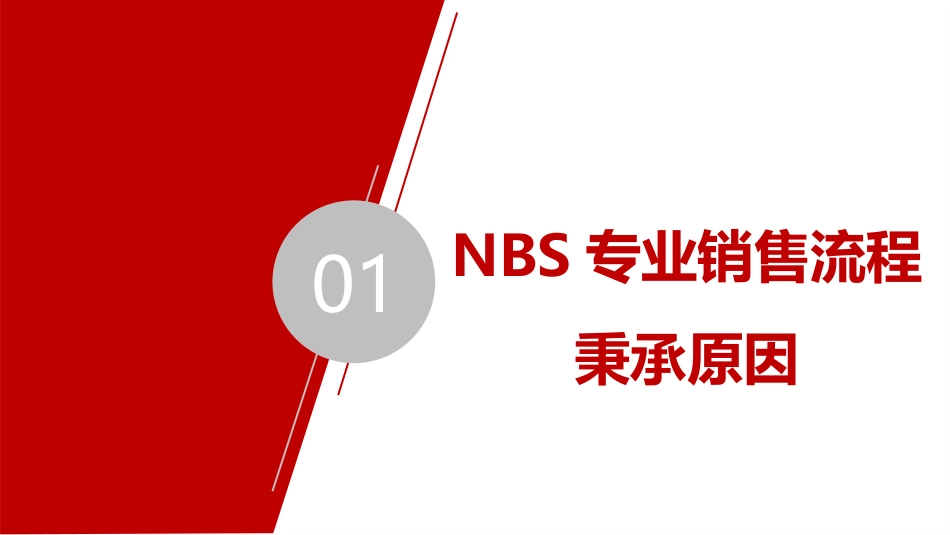 NBS销售体系概览_第3页