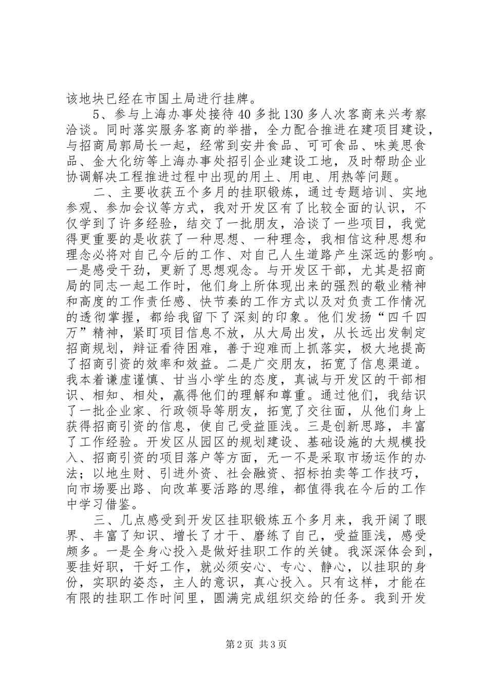 挂职个人工作总结_第2页